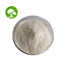 High Quality Natural 90% 98% Chondroitin Sulfate Powder